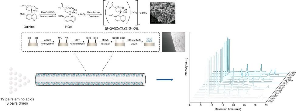 医学院青年西席孙晓东博士在Journal of Pharmaceutical Analysis同期揭晓两篇文章-永信贵宾会217