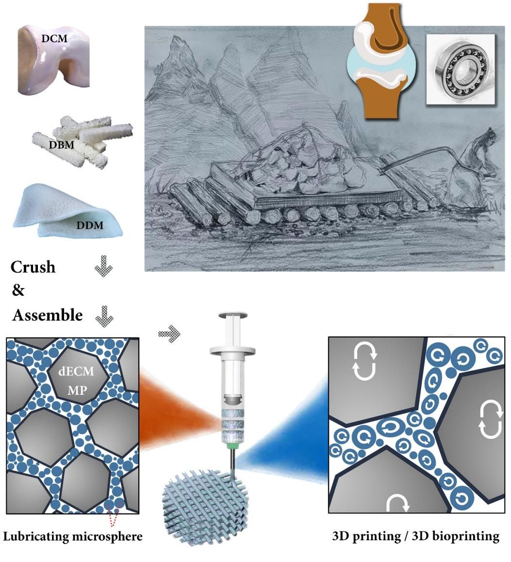 质料学院张坤玺、尹静波教授课题组在《Advanced Functional Materials》上揭晓最新研究效果-永信贵宾会217