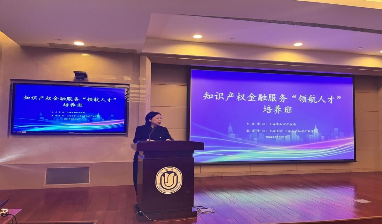知识产权金融效劳“领航人才”作育班（2024）顺遂举行-永信贵宾会217