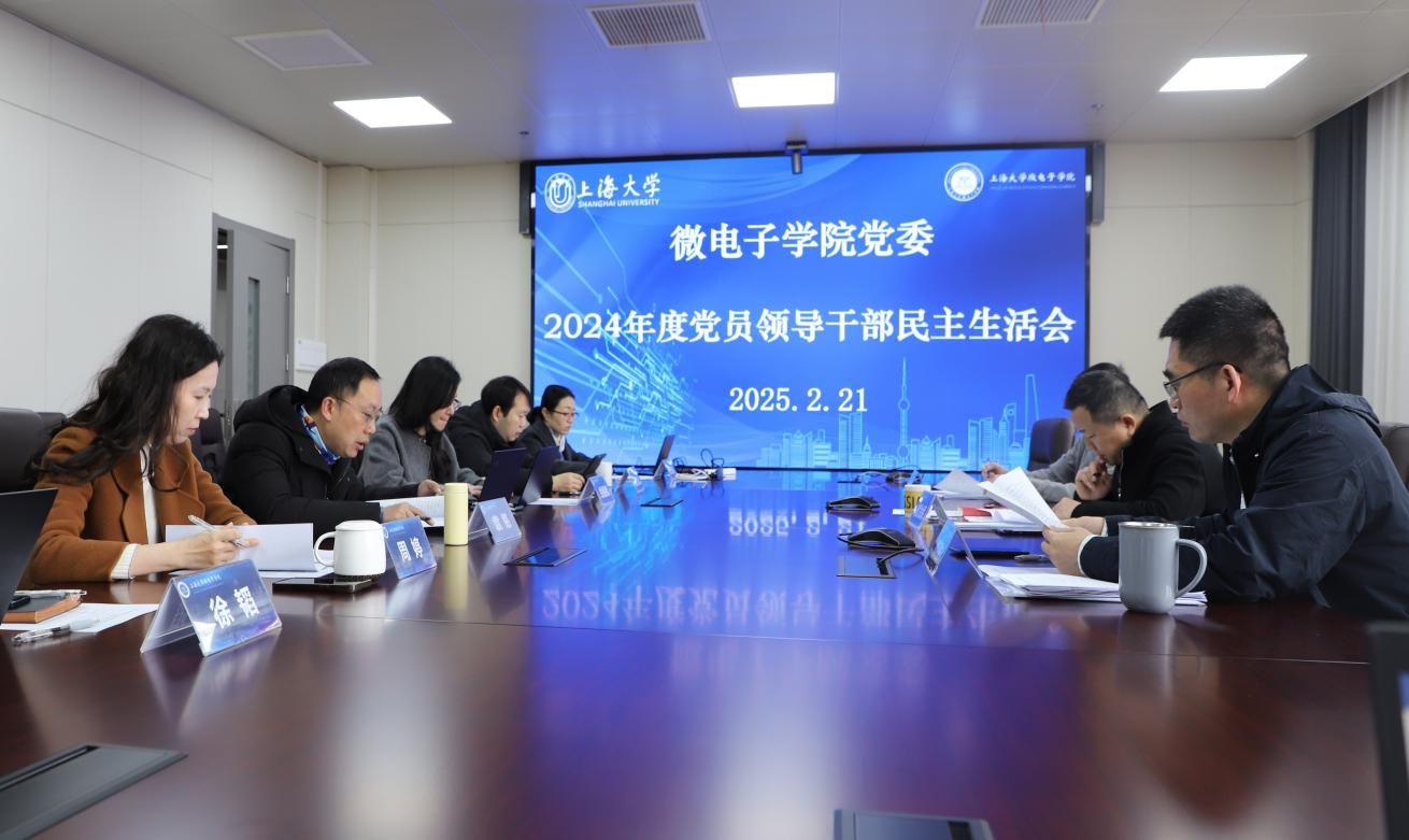 微电子学院党委召开2024年度党员向导干部民主生涯会-永信贵宾会217