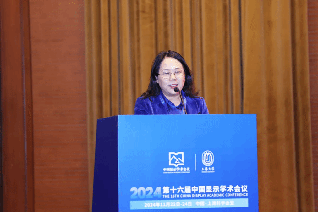 2024第十六届中国显示学术聚会顺遂举行-永信贵宾会217