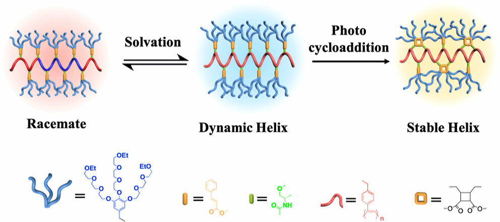 质料学院李文/张阿方教授团队在《Journal of the American Chemical Society》上揭晓最新研究效果-永信贵宾会217
