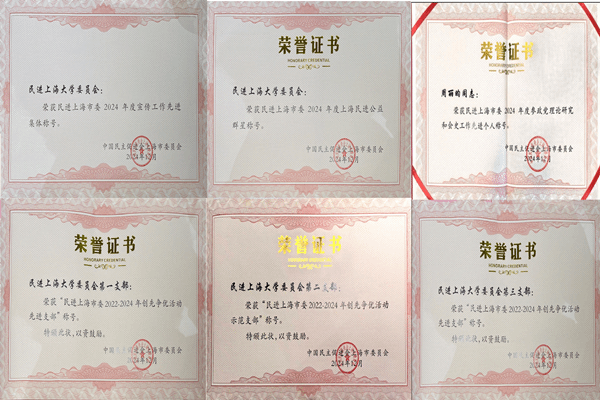 民进永信贵宾会217委员会获多项民进上海市委2024年度表扬-永信贵宾会217