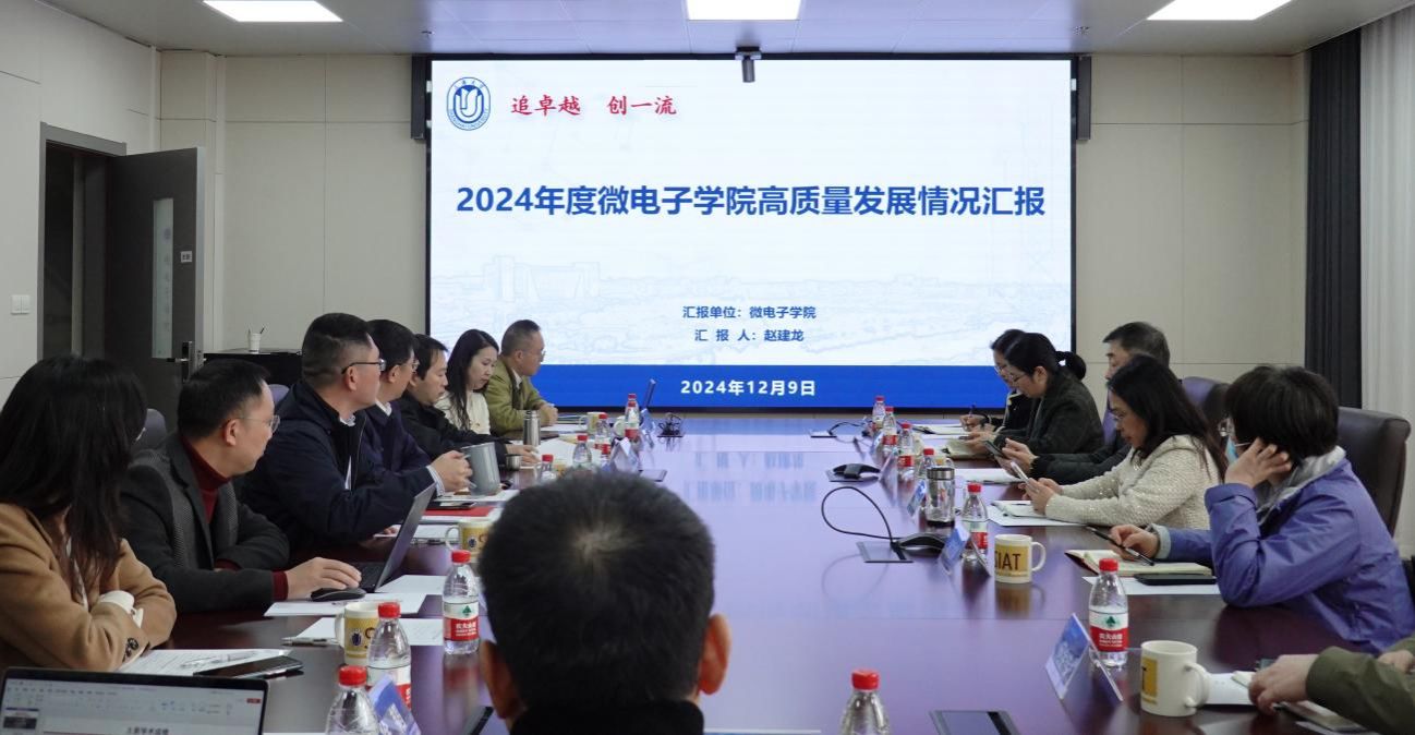 校向导赴微电子学院开展2024年度落实周全从严治党实地调研-永信贵宾会217