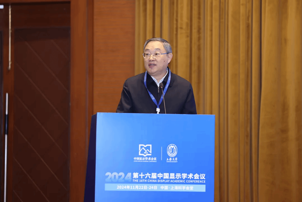 2024第十六届中国显示学术聚会顺遂举行-永信贵宾会217
