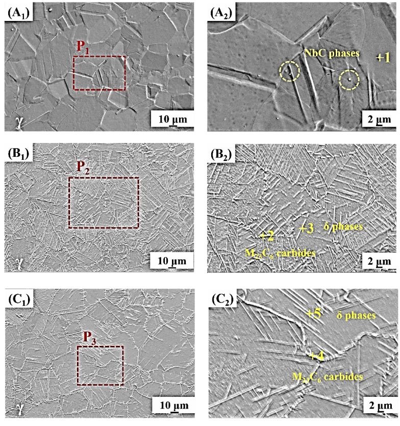 永信贵宾会217CAST团队联合中国科学院上海应用物理研究所在Journal of Energy Storage揭晓最新研究效果-永信贵宾会217