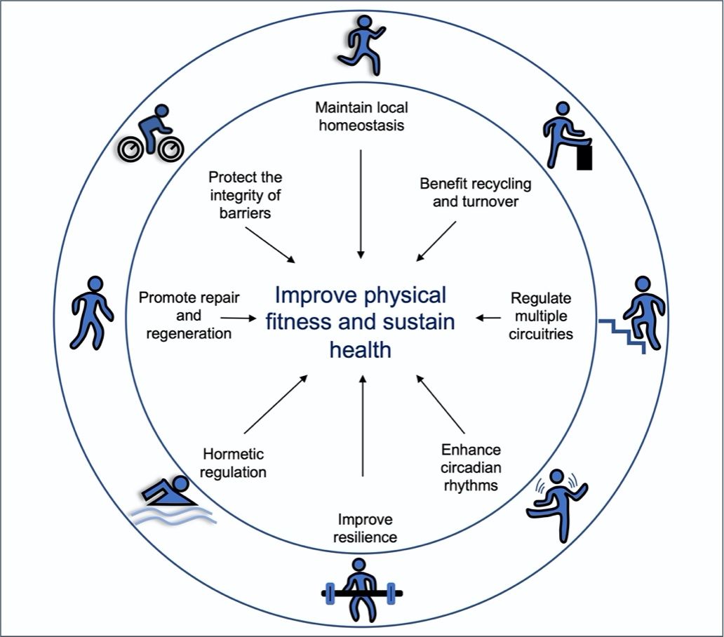 医学院青年西席邱艳在Journal of Sport and Health Science揭晓论文-永信贵宾会217