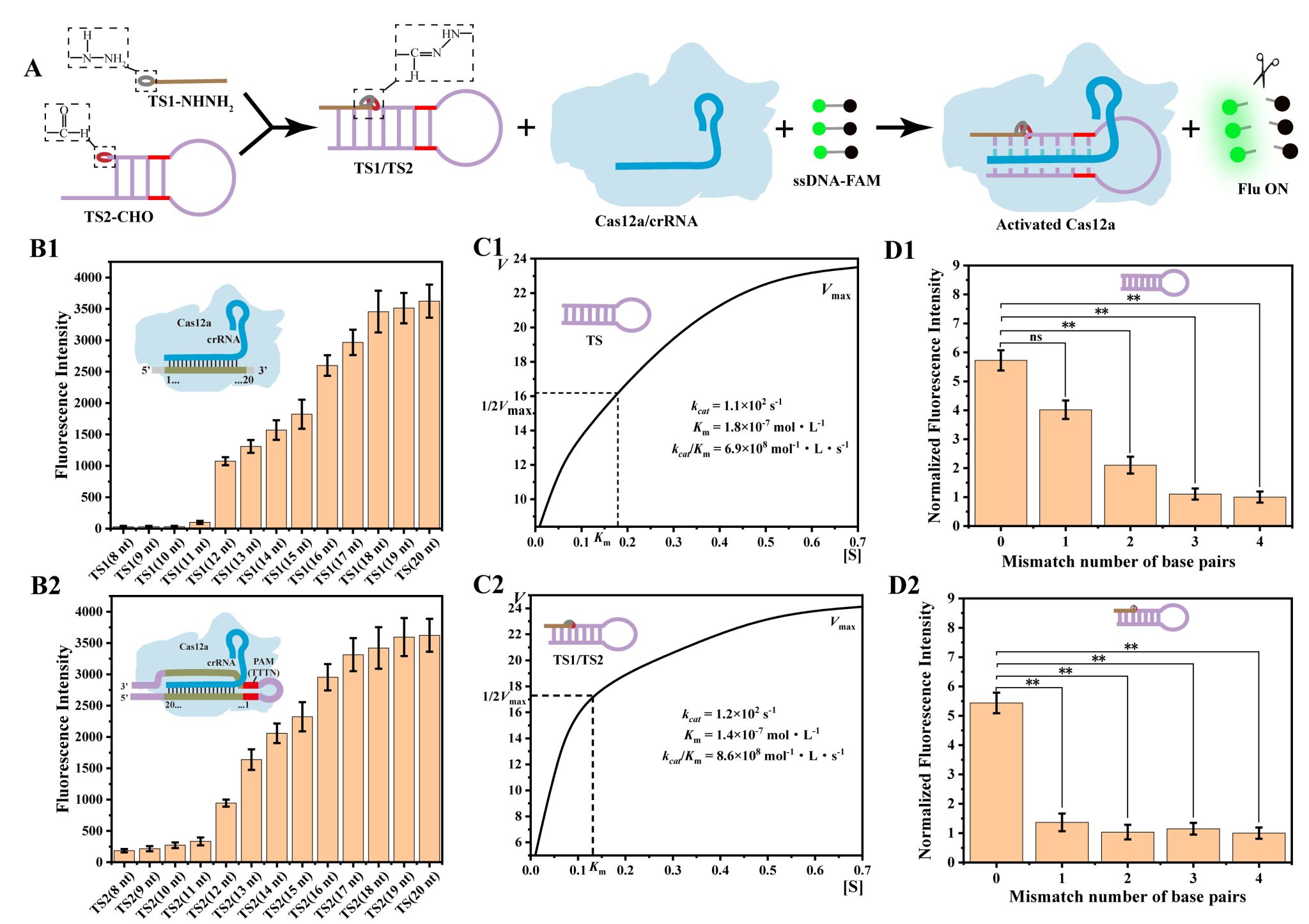 生命学院李根喜教授团队在《Nucleic Acids Research》揭晓细菌剖析新战略的研究效果-永信贵宾会217